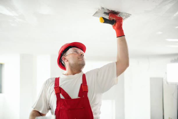 Best New Construction Drywall Services  in USA